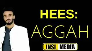 SULDAAN_SERAAR_|_HEES_CUSUB_|_AGGAH_|_LYRICS