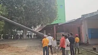 Tree cutting in sujata academy. In the future this tree is very dangerous. 