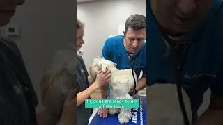 A Good Physical Exam with Dr. Madison