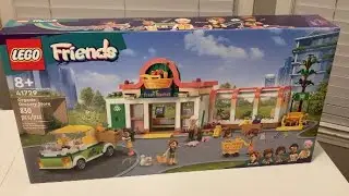 Building Lego Friends Set 41729