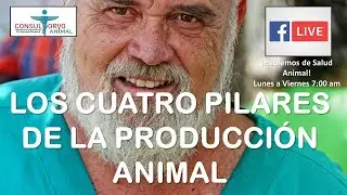LOS CUATRO PILARES DE LA PRODUCCION ANIMAL