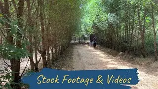 Horse Riding on Countryside Path | Outdoor Adventure | Stock Footage