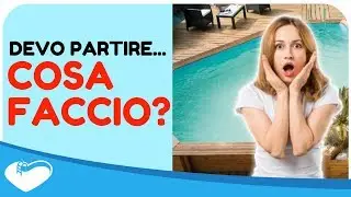 Cosa devo fare prima di partire per le vacanze? (BSVillage Q&A #02)