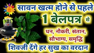 Sawan 2021 Start Date: सावन में जरुर करें 1 बेलपत्र का महाउपाय #Sawan2021 #SawanSomwarVrat2021 #shiv