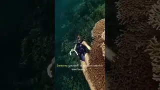 Why I love free diving in the Philippines! 😍