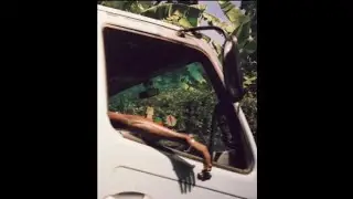 (sold) j dilla type beat | “Jamaica”