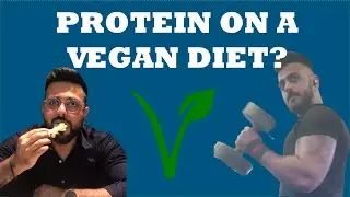 Can you build muscle on a vegan diet? | Getting enough protein