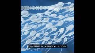 Is there really a fertility crisis? Trailer