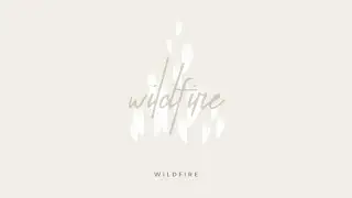 Wildfire (Official Audio)