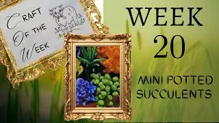 Craft Of the Week 20