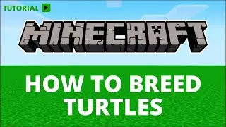 How to breed turtles in Minecraft