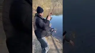 Didžiulis starkis neryje #fishing #fail #big #fish #catch #neris #starkiu #zvejyba #vilniauszvejys