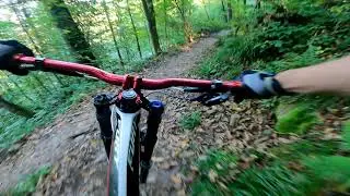 Downhill Heidelber DH Strecke