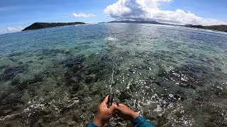Kuha lang nag pang ihaw, pero marami ang na sampa.