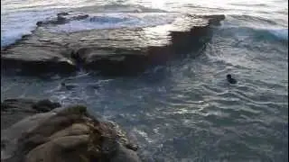 A Trim Swim