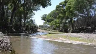 San Pedro River, Arizona