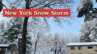 ❄️Snow Storm in New York | Winter Storm #snowstorm 