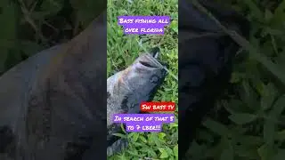 largemouth bass looove flukes!!! zoom flukes super salty fluke bass baits sw bass tv