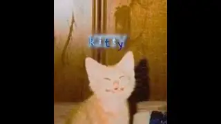 kitty- FULL ALBUM