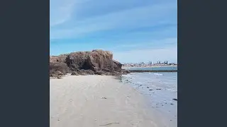 Joyful Jumps