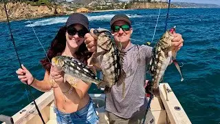 EPIC Fishing in Newport Beach! Calico Bass Catch, Clean and Cook