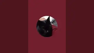 りんりんりんりん がライブ配信中！