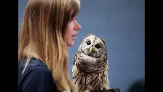 Hooting owls visit classroom at Rock Hill school