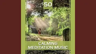 Contemplation & Dreaming