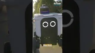 SERV CEO: Expect One Million Delivery Robots in Next Few Years #shorts