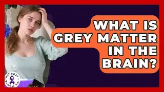 What Is Grey Matter In The Brain? - Epilepsy Wellness Hub