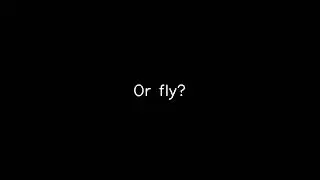Would You Rather: be invisible or fly?