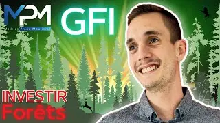 GFI : Faut-il investir dans les Groupements Forestier d&rsquo;Investissement ? Guide complet d&eacute;butant