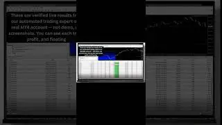 👉 Best Forex EA 2026 | Automated Forex Trading Robot MT4/MT5 | Live Forex Results & Backtest