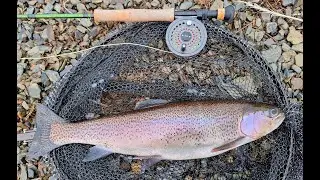 Llyn Brenig - A Wee Taster at the start of the 2024 Season - Rhyl and St Asaph Angling Association