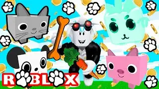 ВАУ! НОВЫЙ СИМУЛЯТОР ПИТОМЦЕВ! СИМУЛЯТОР МАСТЕР ПИТОМЦЕВ В РОБЛОКСЕ! ROBLOX Pet Masters