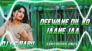 Deewane Dil Ko Jaane Jaa Dj Song || World Best DJ Remix Song Hindi || Hindi Romantic Song Dj Remix