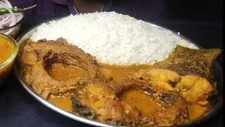 Eating desi fish curry with basmati rice/ruhu fish curry asmr/pkn eating channel/asmr video/mukbang 