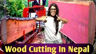 Wood Work Sawmill \ Amazing Fastest Large Wood Sawmill Machine Working \ Sawmill factory