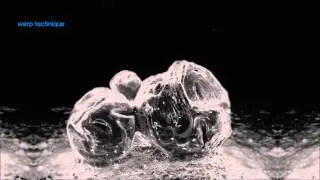 Warp Technique - Make Animals Happy (Sensient Remix)