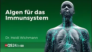 Der Immunsystem Booster | Dr. Heidi Wichmann | NaturMEDIZIN | QS24 Gesundheitsfernsehen