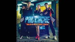 Pal Cache