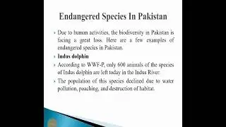 Indus Dolphin || Marco Polo Sheep || Houbara bustard || Endangered Species in Pakistan ||