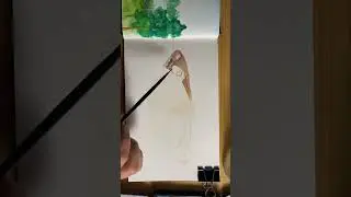 All hail the empire moth. #watercolor #watercolorpainting #timelapse #timelapsepainting #moths