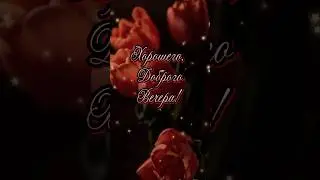Хорошего, доброго вечера!