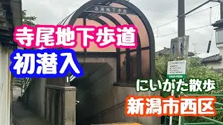 2025年6月23日 寺尾地下歩道初潜入 住宅地の地下通路 新潟市西区