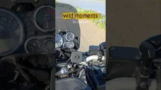 If you're seeing this, it's a sign to go book that trip! 😄 #motorcycle #shorts