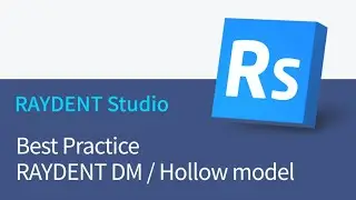Best Practice - RAYDENT DM / Hollow model