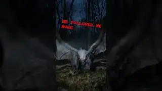 Mothman Caught on Camera at 3AM&hellip; Then This Happened 👀 #scary #mothman #shorts