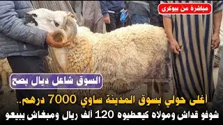 من بيوكرى:أغلى حولي بسوق المدينة ساوي 7000 درهم...شوفو قداش ومولاه كيعطيوه 120 ألف ريال ومبغاش يبيعو