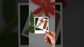 Shami Kabab By Lubna's Kitchen Diary #youtubeshorts #shorts #foodography #food #viral